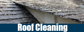 Roof Cleaning